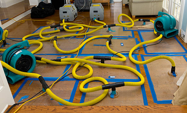 Professional Burst Pipe Water Damage technician working in Vernon, TX